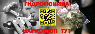 PSILOCYBIN Будённовск