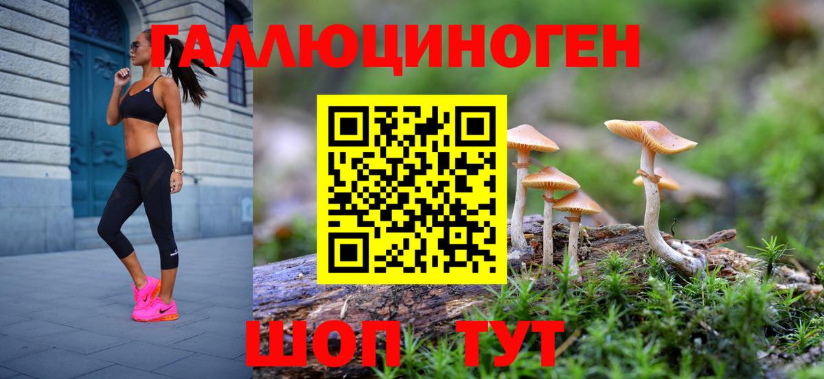 Псилоцибиновые грибы мицелий Семилуки